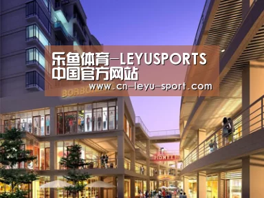 展示一(图1)