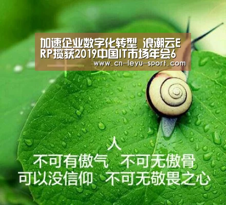 加速企业数字化转型 浪潮云ERP揽获2019中国IT市场年会6项殊荣‘乐鱼体育平台’(图1) 乐鱼体育在线