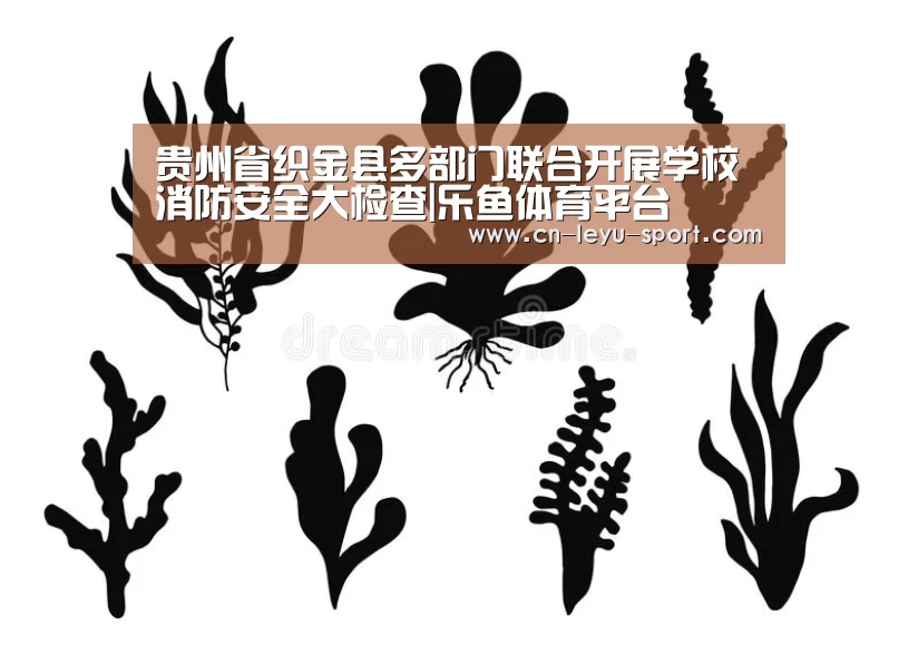 贵州省织金县多部门联合开展学校消防安全大检查|乐鱼体育平台(图2) 乐鱼体育在线