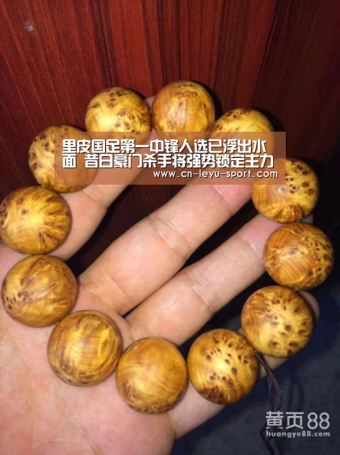 乐鱼体育平台