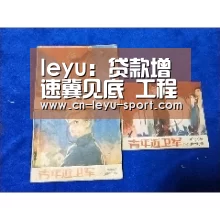 leyu:贷款增速冀见底 工程机械行业将反弹(图1) 乐鱼体育在线