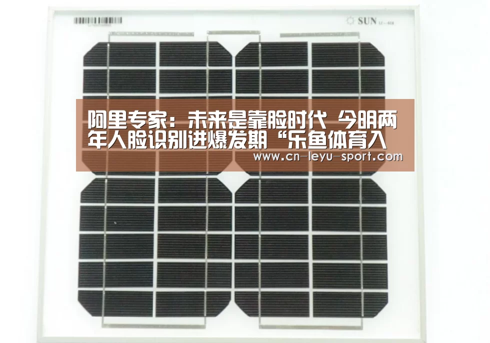 阿里专家:未来是靠脸时代 今明两年人脸识别进爆发期“乐鱼体育入口”(图1) 乐鱼体育在线