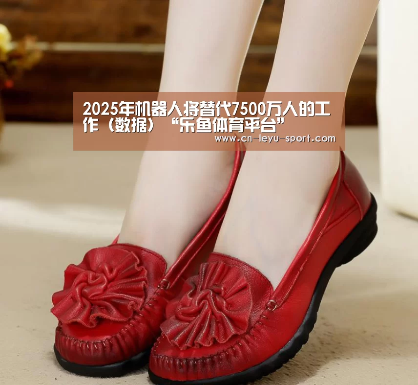 乐鱼体育平台