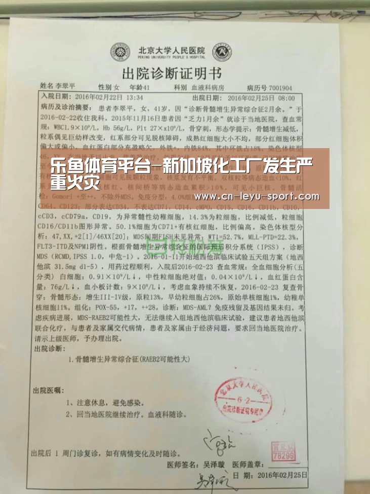 乐鱼体育平台-新加坡化工厂发生严重火灾