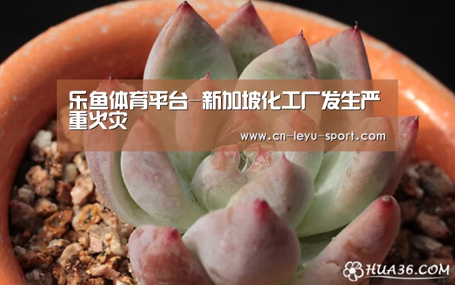 乐鱼体育平台