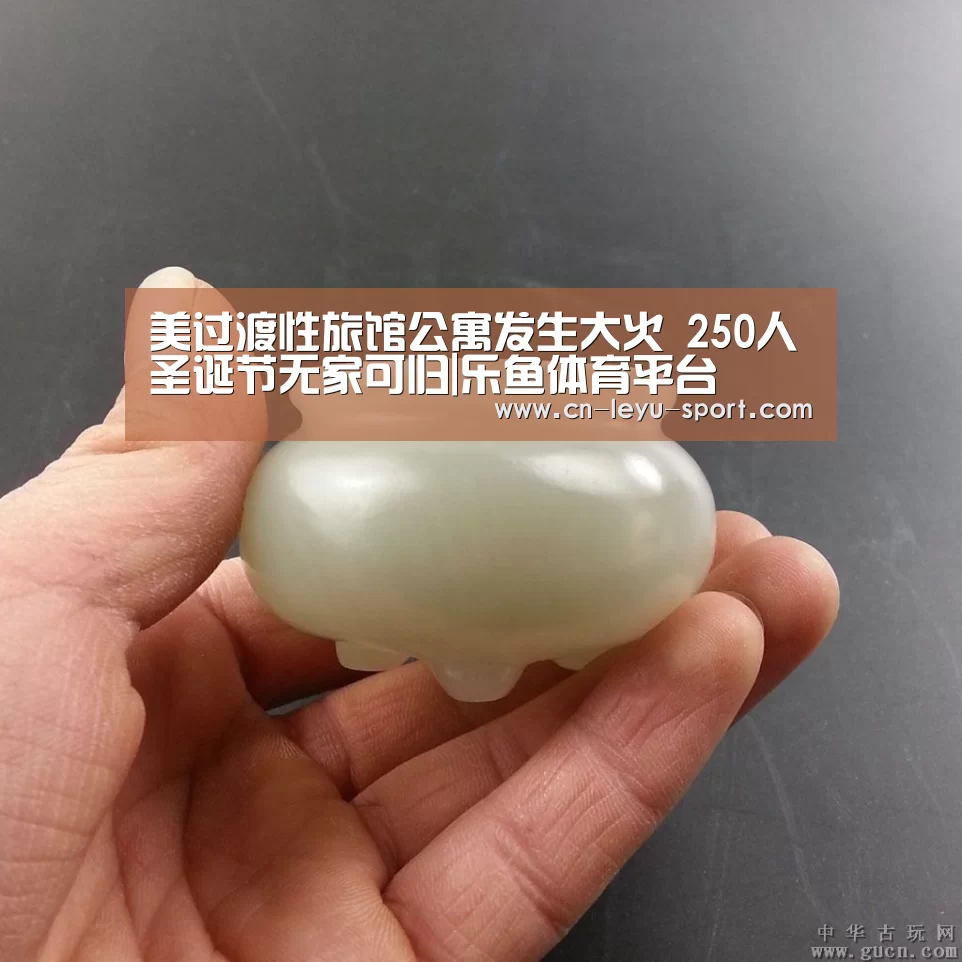 美过渡性旅馆公寓发生大火 250人圣诞节无家可归|乐鱼体育平台(图1) 乐鱼体育在线