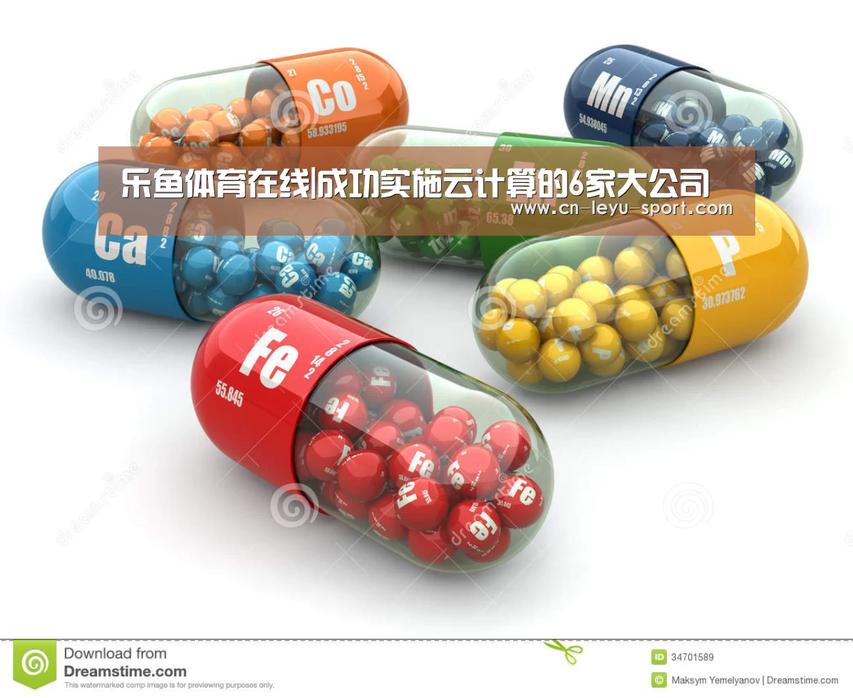 乐鱼体育在线|成功实施云计算的6家大公司(图1) 乐鱼体育平台